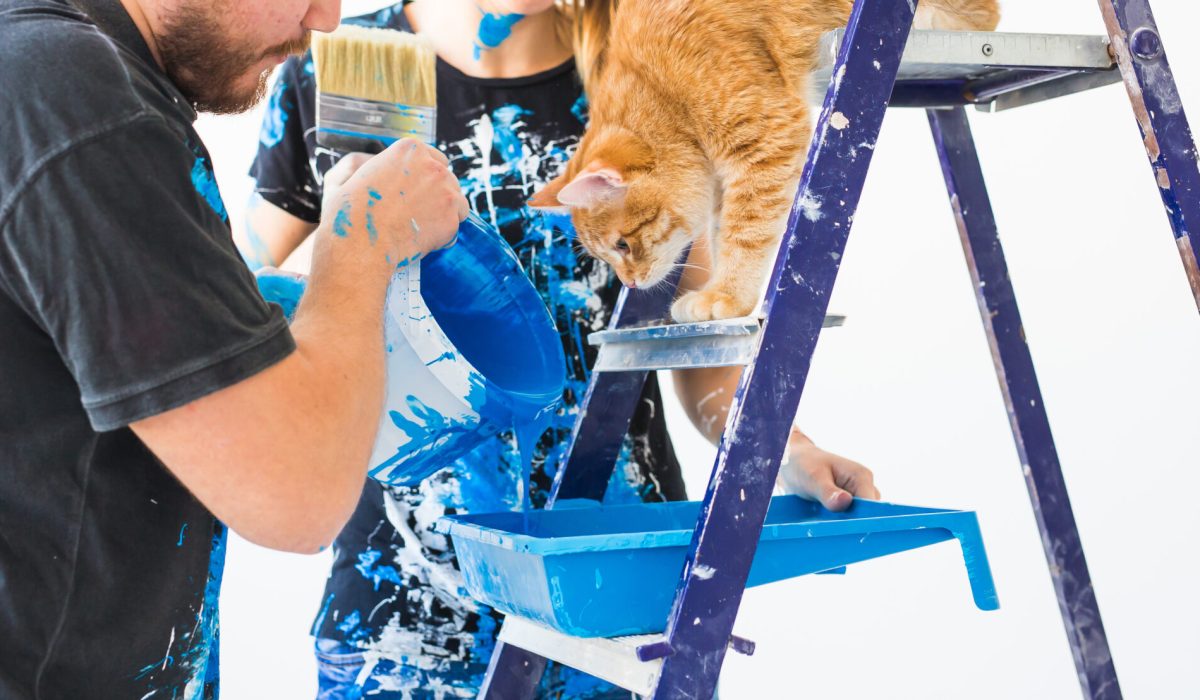 Repair, color, people concept - couple with cat going to paint the wall, they are preparing the color.